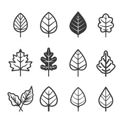 minimalist line art icon leaf collection set logo symbol