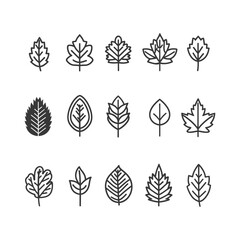 minimalist line art icon leaf collection set logo symbol