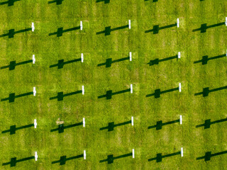 Aerial view of the Normandy American Cemetery and Memorial is a World War II cemetery and memorial...