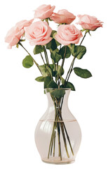 PNG  Elegant pink roses in vase