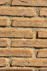 Bricks on the wall in the sunshine
