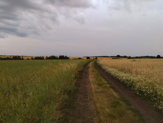 Dirt Road Through Fields Under Cloudy Sky
