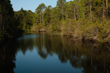 Obraz premium The morning sun is just starting to light the small quiet pond within Topsail Hill Preserve State Park, Santa Rosa Beach, Florida in mid-April