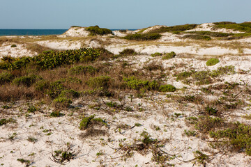 Looking over the sand dunes along the gulf beaches at Topsail Hill Preserve State Park, Santa Rosa Beach, Florida in mid-April