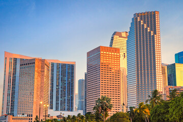 Obraz premium Skyscrapers in Miami downtown