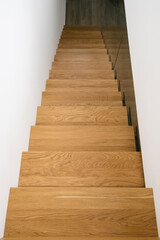 Wooden stairs leading down in a residential house