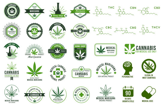 Medical cannabis emblems, marijuana leaf labels, hashish manufacturing logo vector premium templates green cannabis big set.