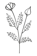 Autumn summer twig wild flower sprout plant with flower and jagged leaves one black line outline for decorative pattern. Flat doodle style. Vector illustration.