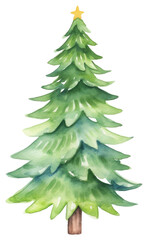Fototapeta premium PNG Christmas tree plant pine white background.