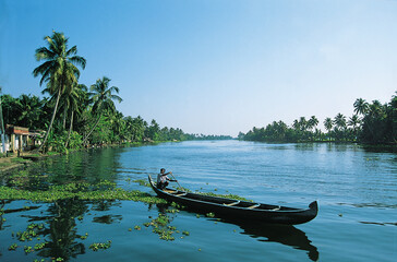 Morning Landscape from Kumarakom backwaters with coconut tree and reflection in water,Kerala