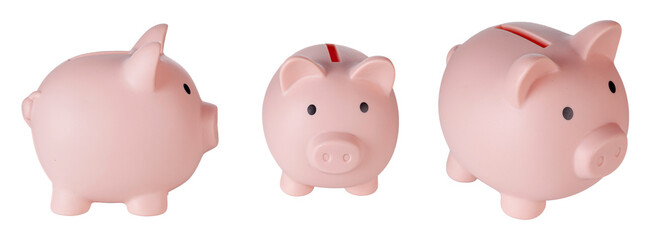 Set Piggy bank pig on isolated white background close up