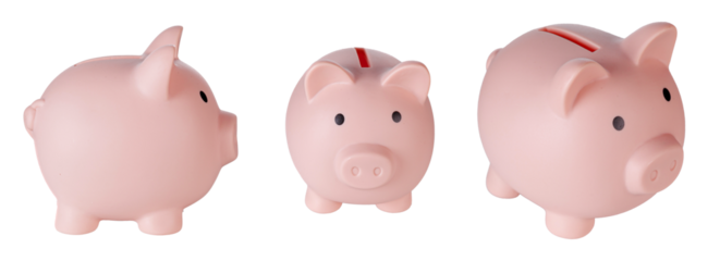 Set Piggy bank pig on isolated white background close up