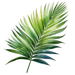 Lush green palm leaf, ideal for nature-themed designs, tropical backgrounds, and eco-friendly projects.