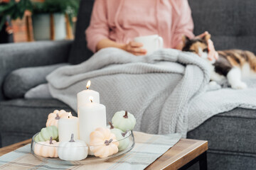 Close up woman in plaid holding cup of tea or coffee, watching movie, TV with multicolored cat on the sofa at home, decorated for fall holidays. Cozy and comfortable autumn concept. Selective focus.