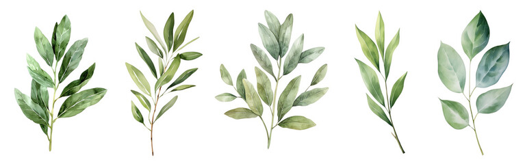 Naklejka premium tropical leaf png cut out element set