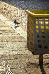 Minimalist image of a single pigeon on a concrete sidewalk next to a metal trash can