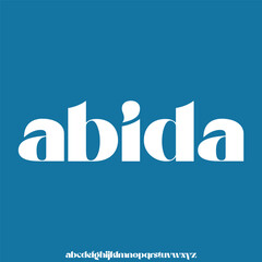 modern and elegant alphabet font vector