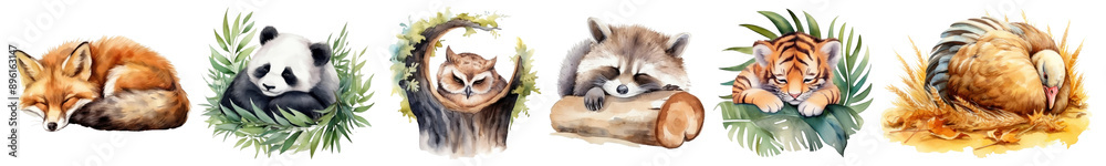 Poster Watercolor sleeping animal illustration png cut out element set