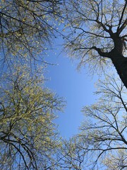 Beautiful, calm, blue sky
