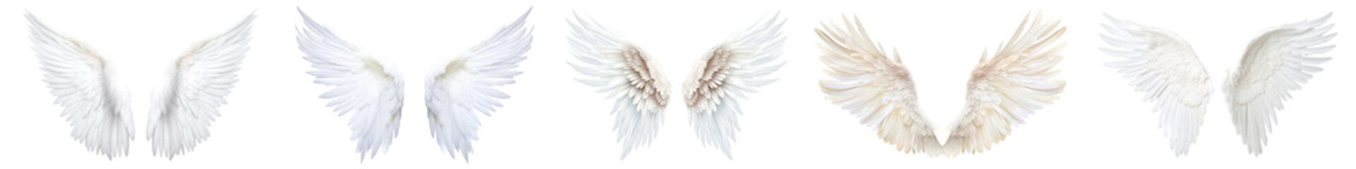 Angel wings png cut out element set