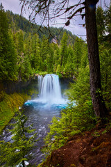 Obraz premium Majestic Koosah Falls in Lush Forest Aerial Tilt