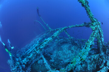 wreck - shipwreck) in scuba divers' slang - a type of dive in which a descent is made to sunken...