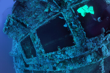 wreck - shipwreck) in scuba divers' slang - a type of dive in which a descent is made to sunken...