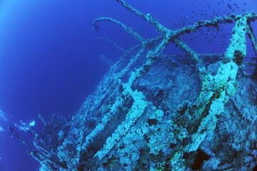 wreck - shipwreck) in scuba divers' slang - a type of dive in which a descent is made to sunken...