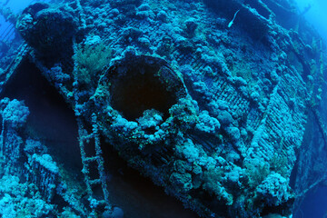 wreck - shipwreck) in scuba divers' slang - a type of dive in which a descent is made to sunken...