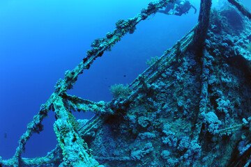 wreck - shipwreck) in scuba divers' slang - a type of dive in which a descent is made to sunken...