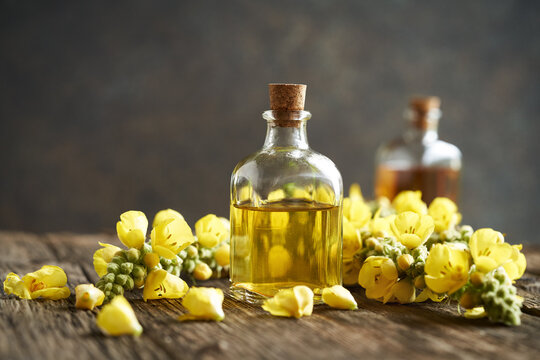 A bottle of herbal tincture with fresh mullein flowers