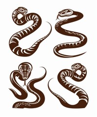 Fototapeta premium A set of hand-drawn depictions of a viper snake isolated on white background in engraving ink technique.