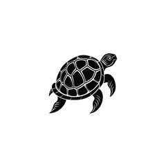 turtle illustration turtle, tortoise, animal, reptile, shell, isolated, pet, nature, slow, wildlife, white, wild, cute, testudo, pets