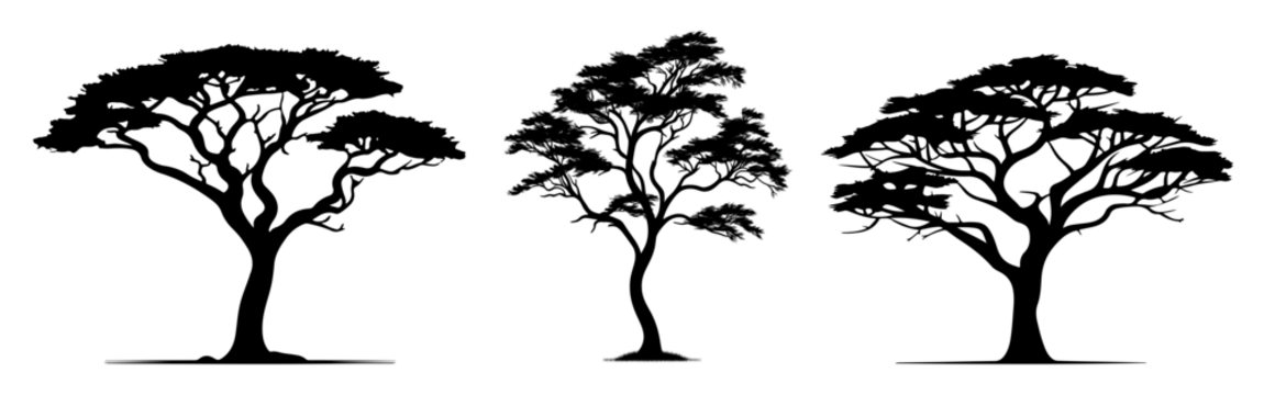 Tree silhouette png cut out element set