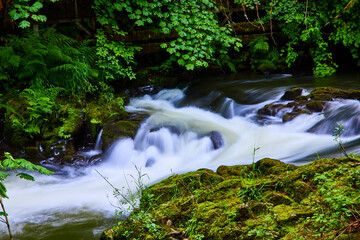 Swift River Cascades Through Lush Forest with Rustic Wooden Structure - Low Angle