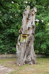 An old chapel placed in the trunk of a cut down tree in Poland.