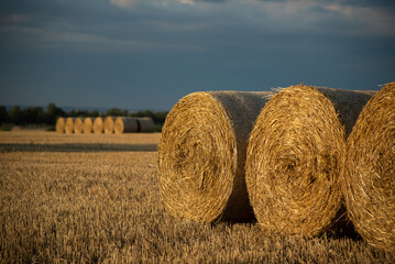 Haystacks on the field, on the sunset