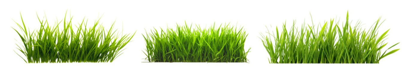 Obraz premium Glass plant png cut out element set