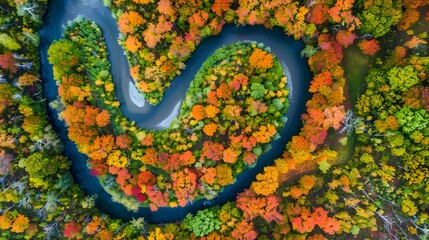 Aerial View of a Winding River through Autumn