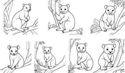 Tree Kangaroo coloring page and outline vector design