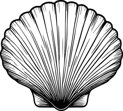 recommend clip art: Pearl shell or sea shell icon line art