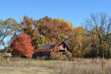 Fototapeta premium old barn in autumn
