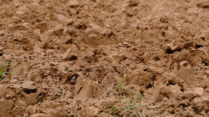 Close-up of dry soil with small rocks and sparse vegetation, showcasing the natural texture and earth tones of the ground.