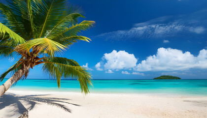Obraz premium Beautiful palm tree on tropical island beach on background blue sky with white clouds
