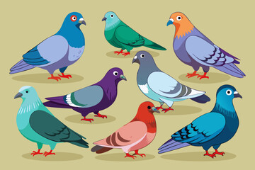  A set of bunches of beautiful pigeons vector art illustration