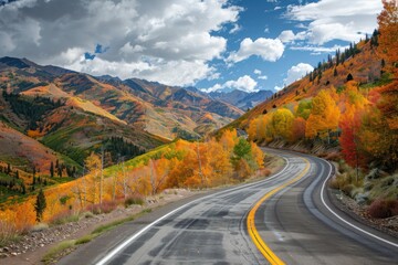 road in autumn