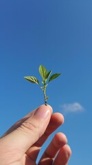 Hand holding small plant against blue sky, nature growth concept