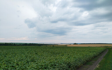 Cloudy Day Over Green Field