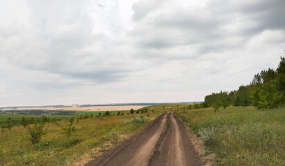 Rural Road Through Grassy Field and Trees on Overcast Day