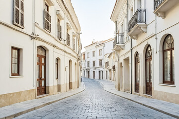 Narrow cobblestone street in a European town